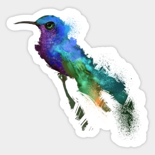 Blue Headed Hummingbird Sticker